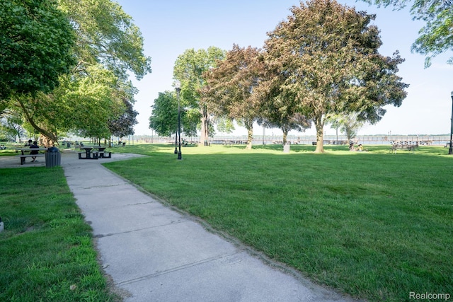 20 Chestnut St Unit 302, Wyandotte, MI 48192 - surrounding community featuring a lawn