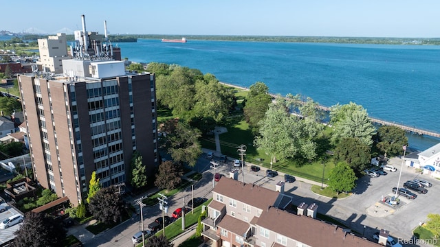 20 Chestnut St Unit 302, Wyandotte, MI 48192 - bird's eye view of a nearby body of water