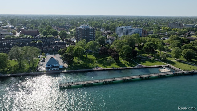 20 Chestnut St Unit 302, Wyandotte, MI 48192 - aerial view of a large body of water