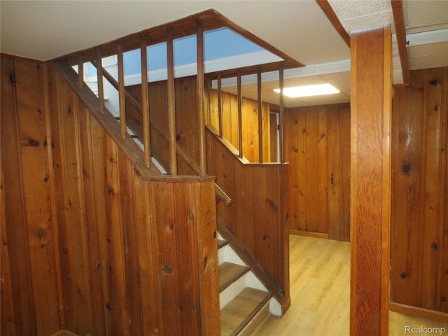 9535 Dixie, Plymouth, MI 48239 - photo 21