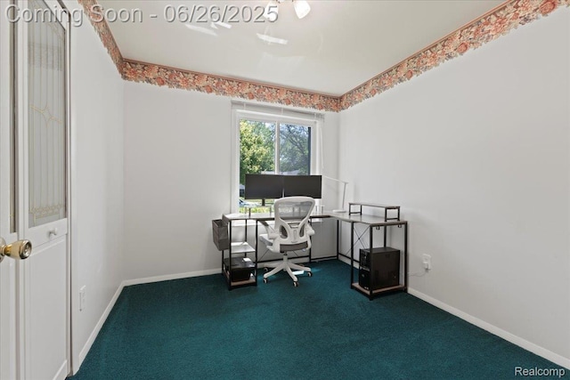 41615 Westmeath Cir, Clinton Township, MI 48038 - office with carpet floors and baseboards