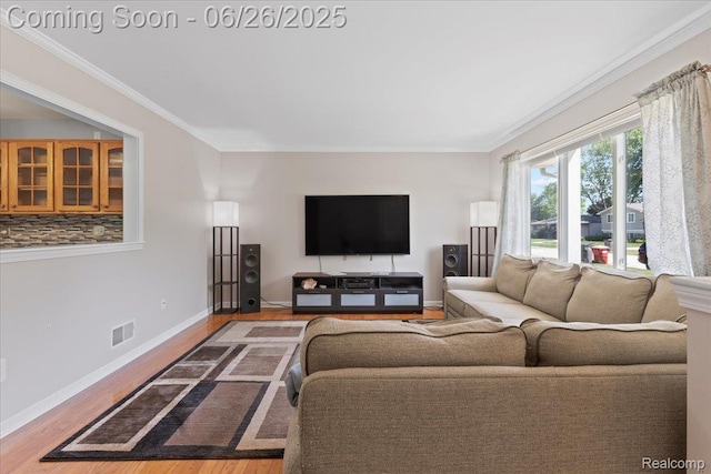 41615 Westmeath Cir, Clinton Township, MI 48038 - living area with light wood-style flooring and ornamental molding