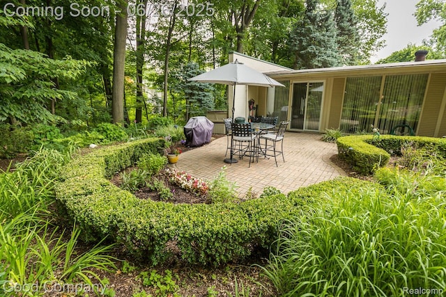 3788 Crestlake Dr, Bloomfield Hills, MI 48304 - view of patio / terrace with area for grilling