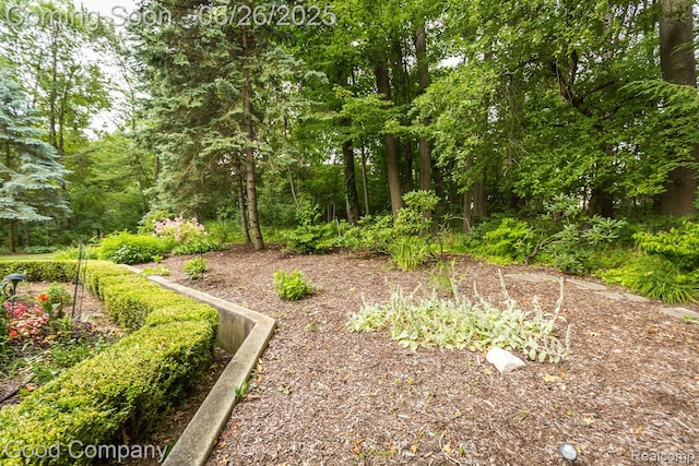3788 Crestlake Dr, Bloomfield Hills, MI 48304 - view of yard