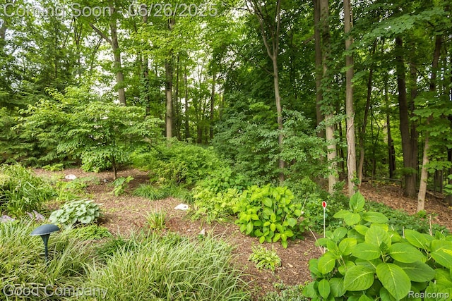 3788 Crestlake Dr, Bloomfield Hills, MI 48304 - view of undeveloped land
