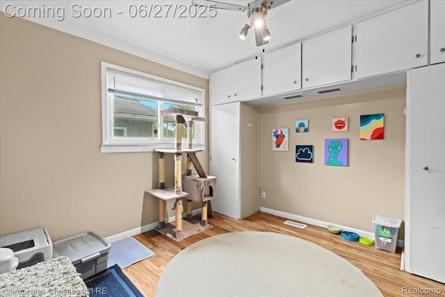 20410 Woodward St, Clinton Township, MI 48035 - photo 13