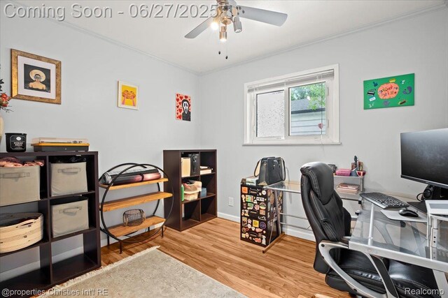 20410 Woodward St, Clinton Township, MI 48035 - photo 12