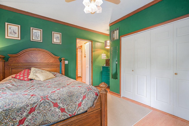 608 Church St, Milan, MI 48160 - photo 12