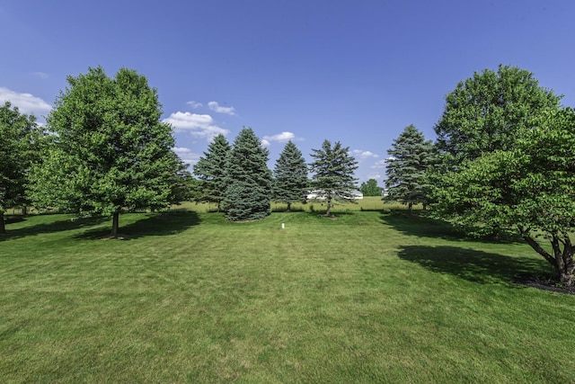 3013 Fieldstone Dr, Dexter, MI 48130 - photo 50