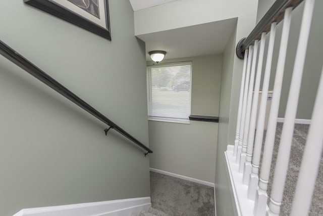 3013 Fieldstone Dr, Dexter, MI 48130 - photo 33