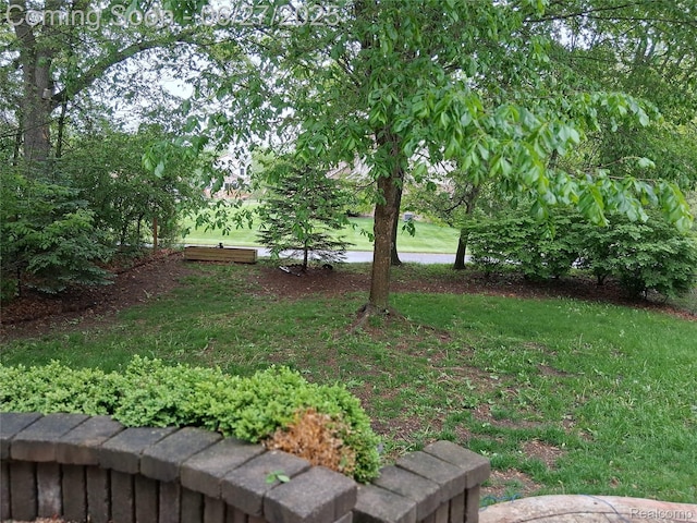 155 Cascade Ln, Waterford, MI 48327 - view of grassy yard