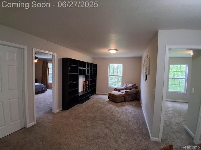 155 Cascade Ln, Waterford, MI 48327 - sitting room featuring carpet floors and baseboards