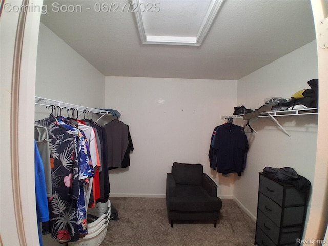 155 Cascade Ln, Waterford, MI 48327 - spacious closet featuring carpet