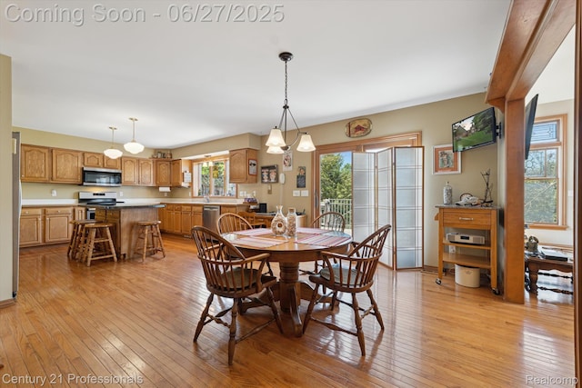 6279 7 Mile Rd, South Lyon, MI 48178 - photo 11
