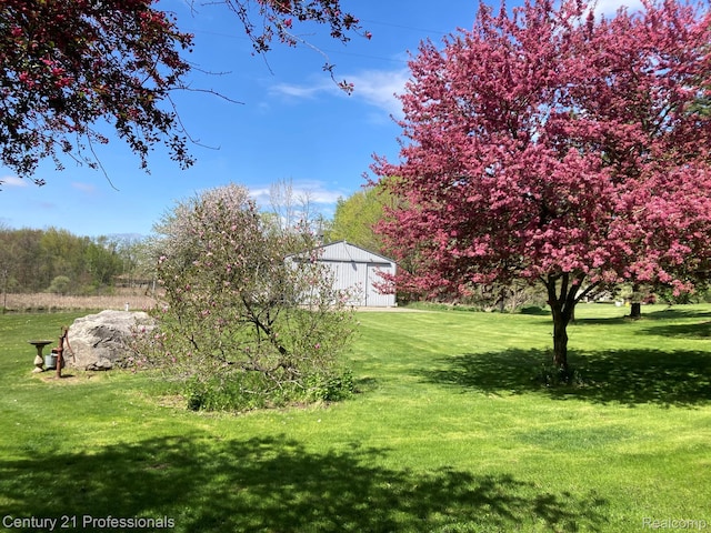 6279 7 Mile Rd, South Lyon, MI 48178 - photo 92