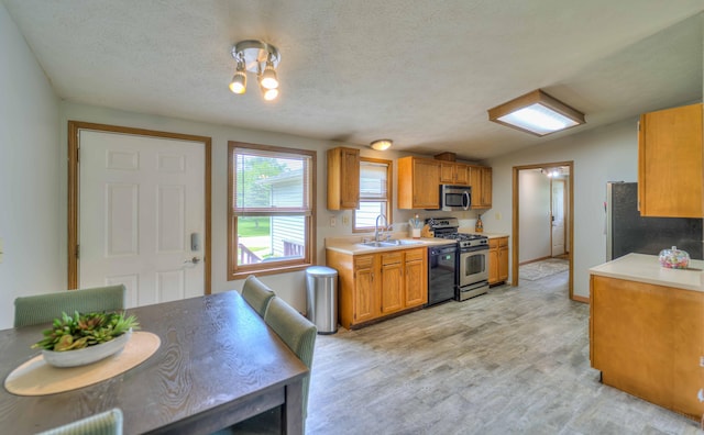 123 Carlysle Dr, Brooklyn, MI 49230 - kitchen featuring stainless steel appliances, light countertops, light wood-type flooring, brown cabinets, and lofted ceiling
