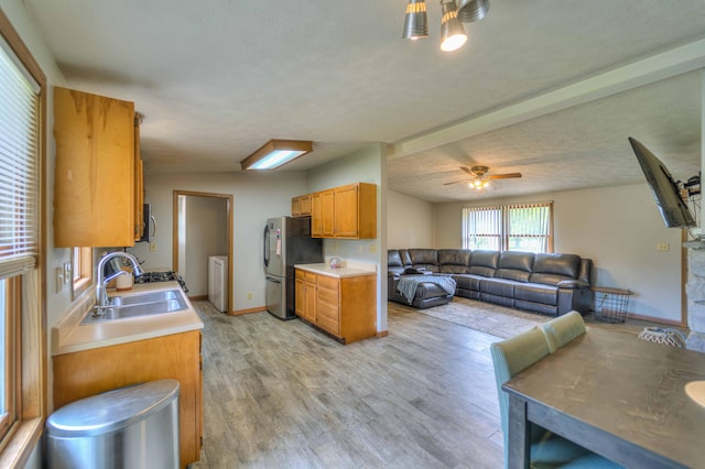 123 Carlysle Dr, Brooklyn, MI 49230 - kitchen with freestanding refrigerator, light countertops, washer / dryer, and light wood-style flooring