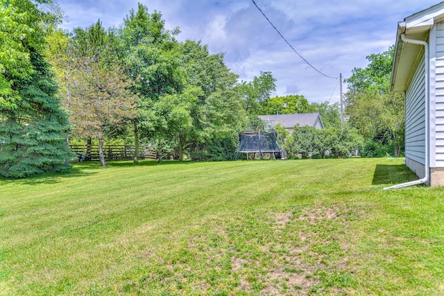 123 Carlysle Dr, Brooklyn, MI 49230 - view of green lawn featuring a trampoline