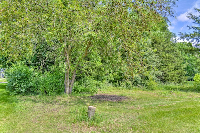 123 Carlysle Dr, Brooklyn, MI 49230 - view of yard with a view of trees