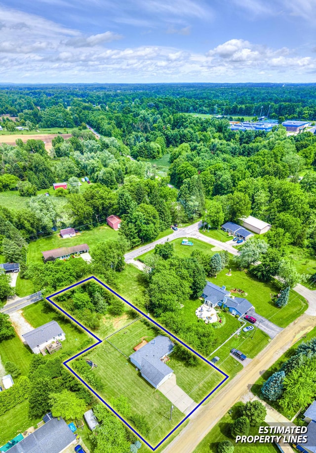 123 Carlysle Dr, Brooklyn, MI 49230 - view of property location featuring property boundaries highlighted and a forest