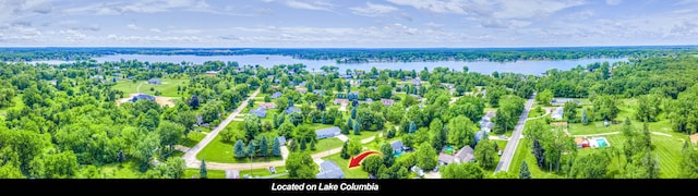 123 Carlysle Dr, Brooklyn, MI 49230 - drone / aerial view of a large body of water