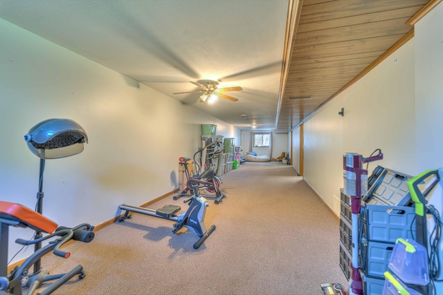 123 Carlysle Dr, Brooklyn, MI 49230 - workout area with ceiling fan and carpet flooring