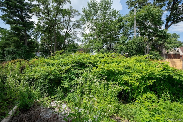 16665 Tuller St, Detroit, MI 48221 - view of undeveloped land