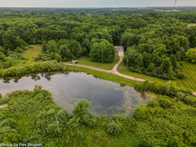 17474 Connor Cir, Bailey, MI 49303 - bird's eye view of a heavily wooded area and a nearby body of water