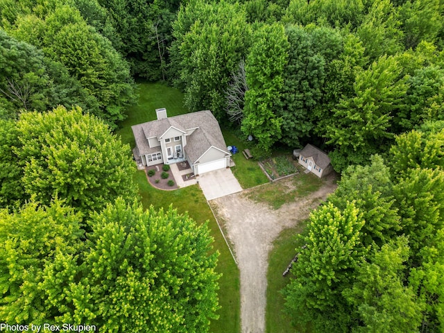17474 Connor Cir, Bailey, MI 49303 - view of subject property