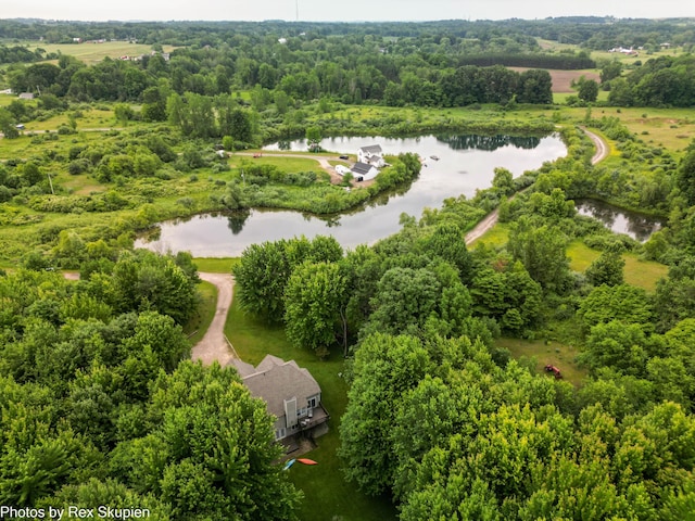17474 Connor Cir, Bailey, MI 49303 - bird's eye view of a large body of water