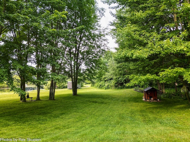 17474 Connor Cir, Bailey, MI 49303 - view of grassy yard with a storage unit
