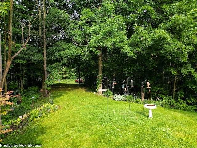 17474 Connor Cir, Bailey, MI 49303 - view of green lawn