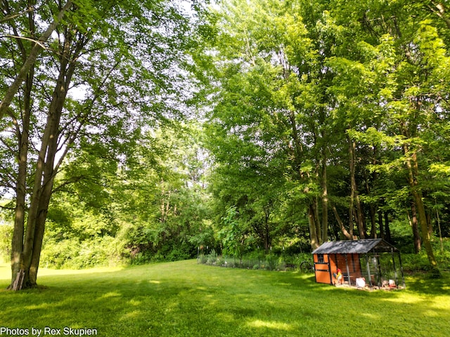 17474 Connor Cir, Bailey, MI 49303 - view of grassy yard with exterior structure, an outdoor structure, and a forest view