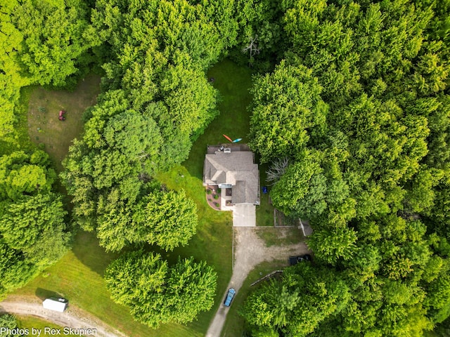 17474 Connor Cir, Bailey, MI 49303 - view from above of property