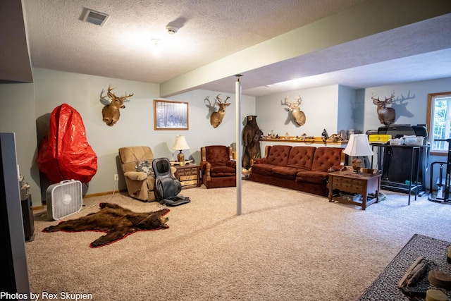 17474 Connor Cir, Bailey, MI 49303 - carpeted living area featuring a textured ceiling