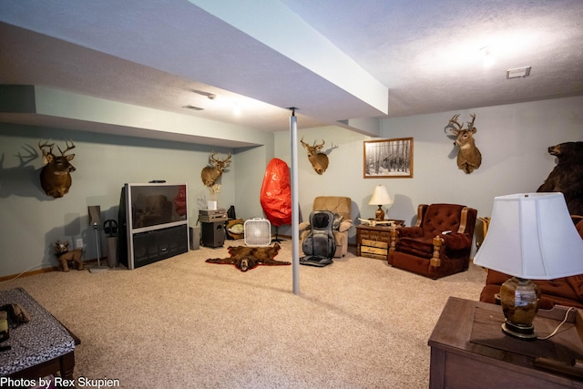 17474 Connor Cir, Bailey, MI 49303 - view of carpeted living area