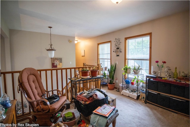 17474 Connor Cir, Bailey, MI 49303 - living area featuring carpet flooring