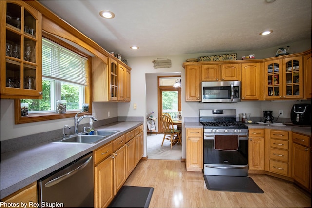 17474 Connor Cir, Bailey, MI 49303 - kitchen with stainless steel appliances, light wood-style flooring, glass insert cabinets, recessed lighting, and brown cabinetry