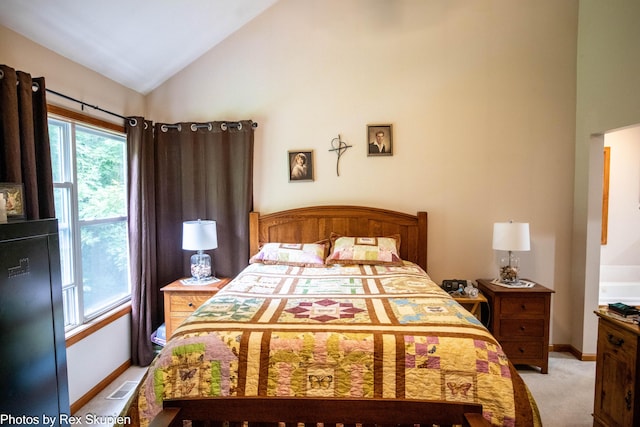 17474 Connor Cir, Bailey, MI 49303 - bedroom featuring light carpet and high vaulted ceiling