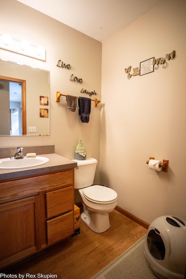 17474 Connor Cir, Bailey, MI 49303 - half bathroom featuring wood finished floors and vanity