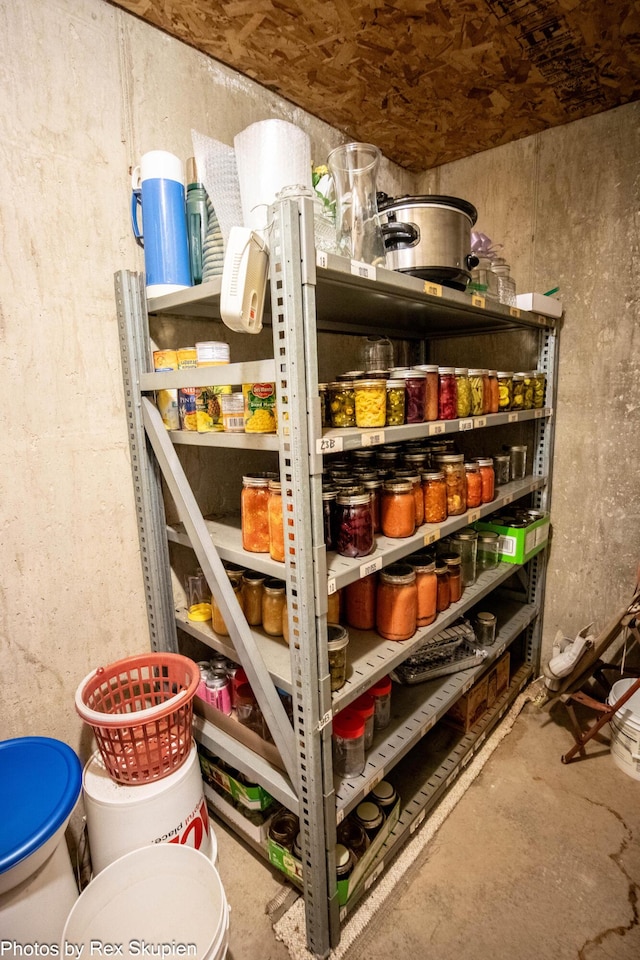 17474 Connor Cir, Bailey, MI 49303 - view of pantry