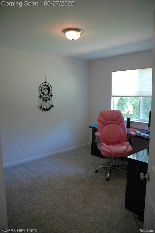 785 Pathway Dr, Howell, MI 48843 - carpeted office space featuring baseboards