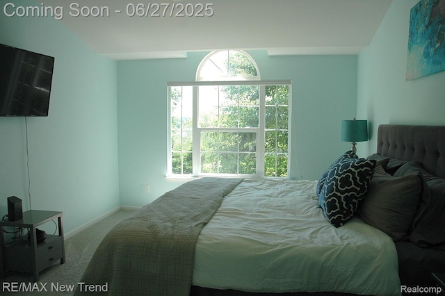 785 Pathway Dr, Howell, MI 48843 - bedroom with carpet flooring and multiple windows