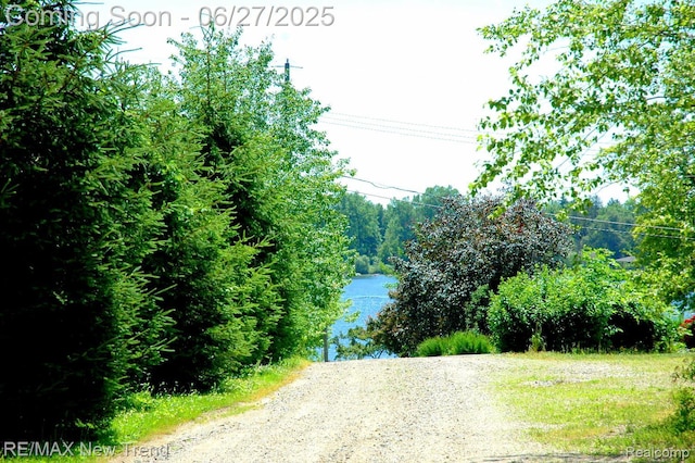 785 Pathway Dr, Howell, MI 48843 - view of road featuring a water view