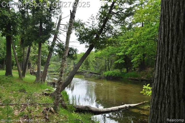3 Millside, Glen Arbor, MI 49636