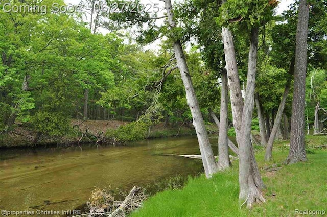 3 Millside, Glen Arbor, MI 49636