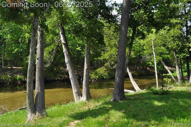 3 Millside, Glen Arbor, MI 49636
