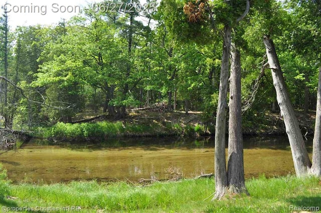3 Millside, Glen Arbor, MI 49636