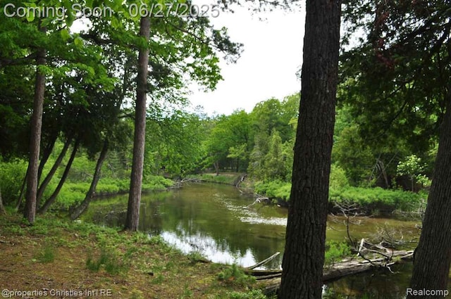 3 Millside, Glen Arbor, MI 49636