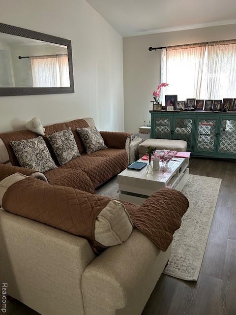 20796 Gill Rd, Farmington Hills, MI 48335 - living room featuring wood finished floors and lofted ceiling